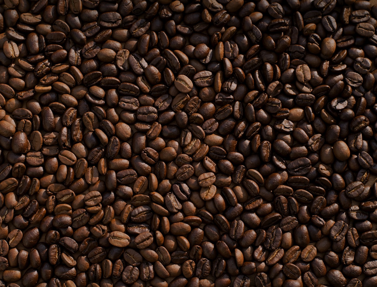 Imagen 5 del mosaico de portada